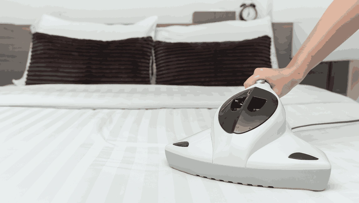 Professional Mattress Cleaning Clifton Hill